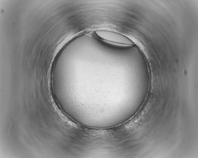 X0000086950949200705071440