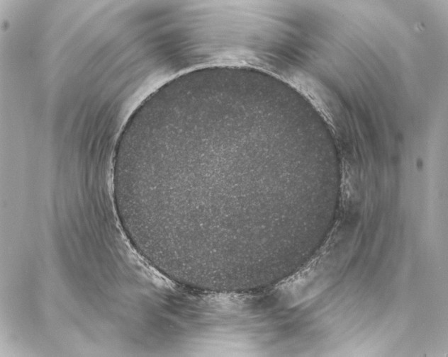 X0000086950950200705071440