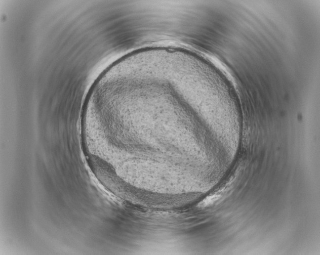 X0000086950951200705071440