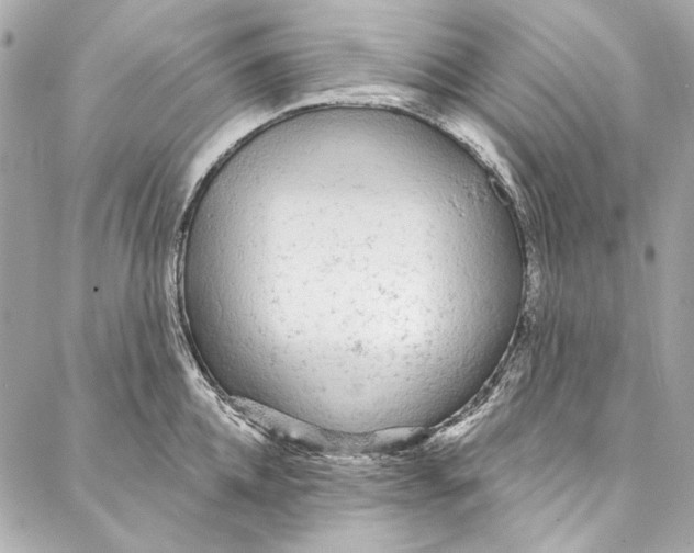 X0000086950952200705071440