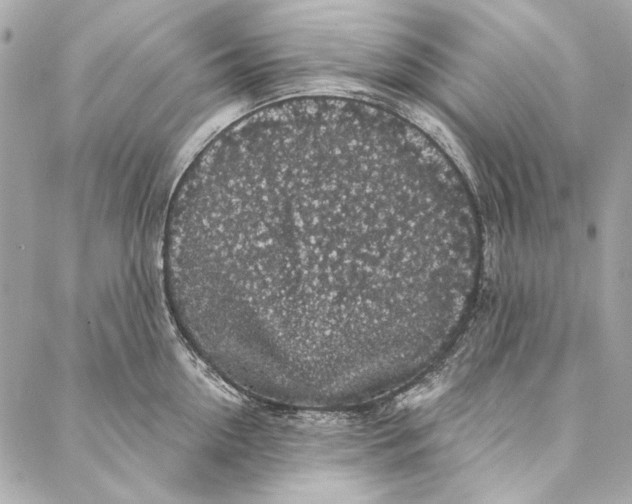 X0000086950954200705071440