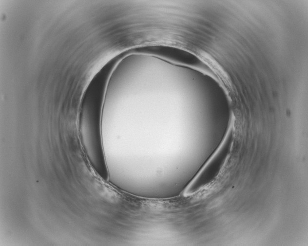 X0000086950956200705071440