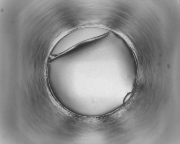 X0000086950957200705071440