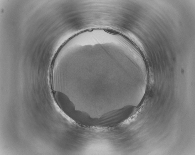 X0000086950958200705071440