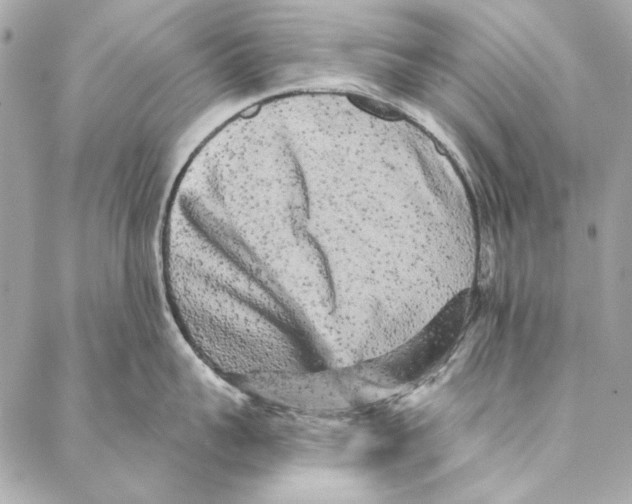 X0000086950959200705071440