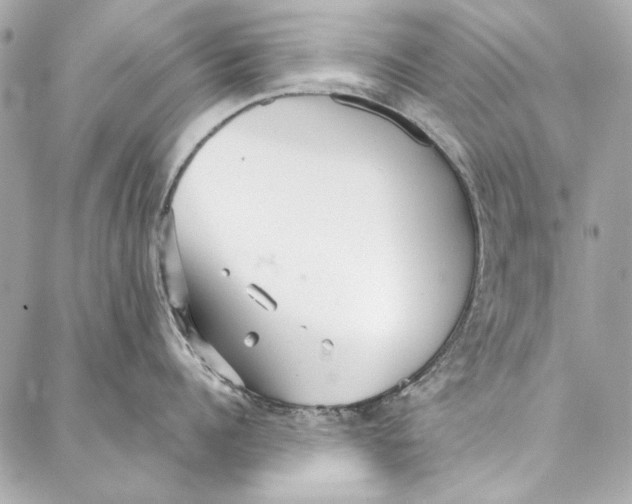 X0000086950960200705071440