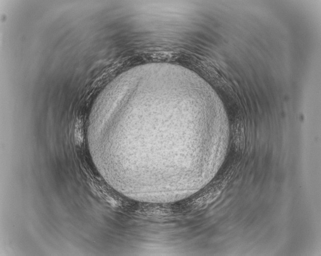 X0000086950962200705071439