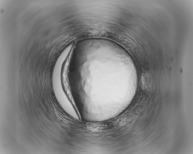 X0000086950963200705071439