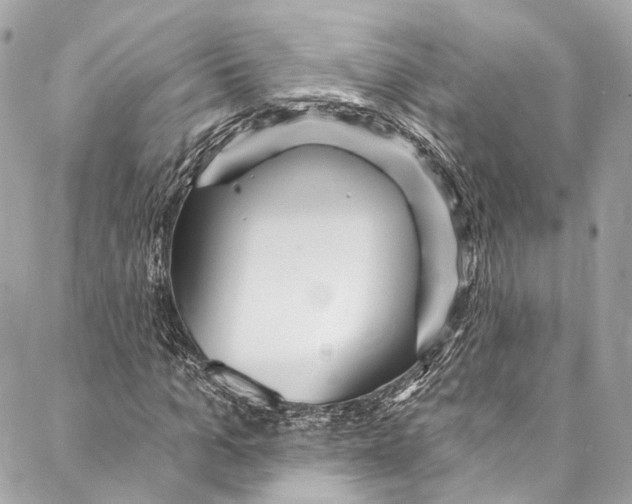 X0000086950965200705071439