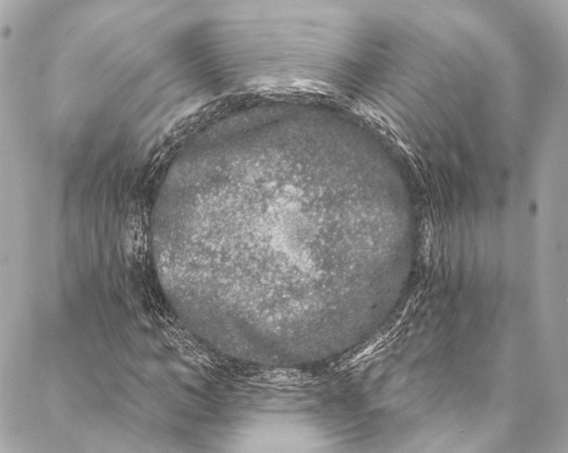 X0000086950966200705071439