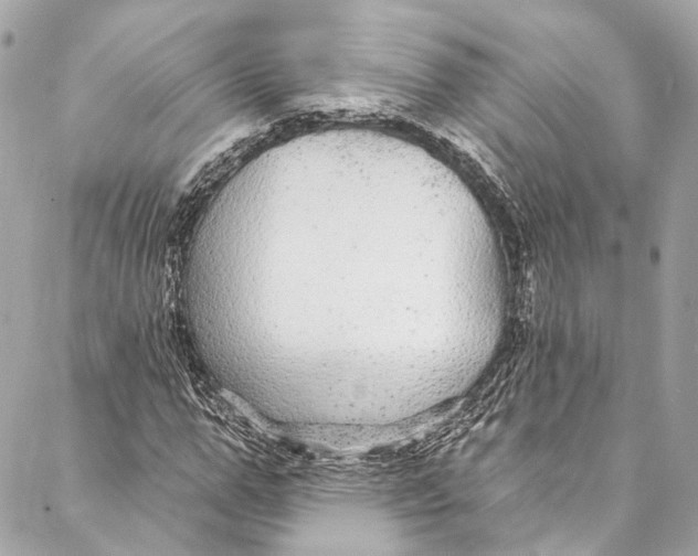 X0000086950967200705071439