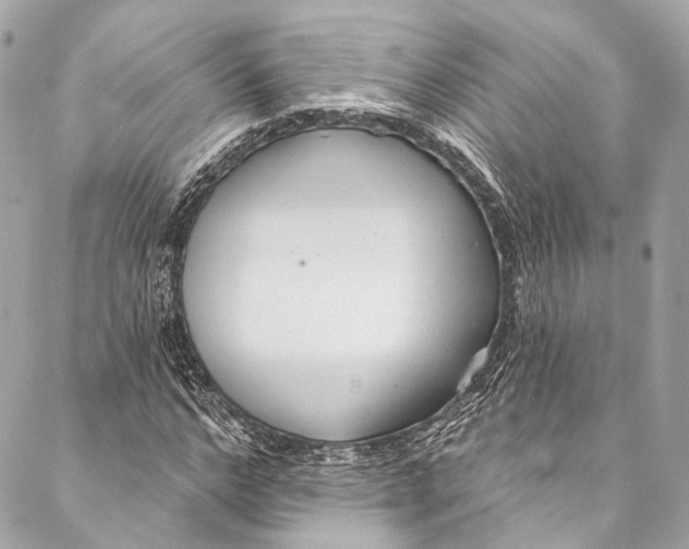 X0000086950968200705071439