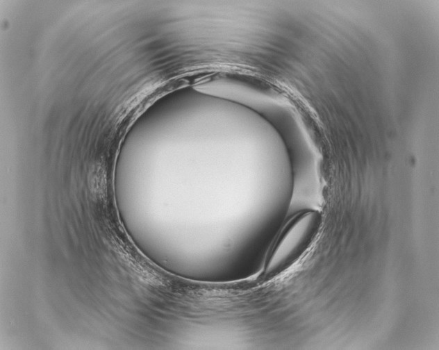 X0000086950969200705071439