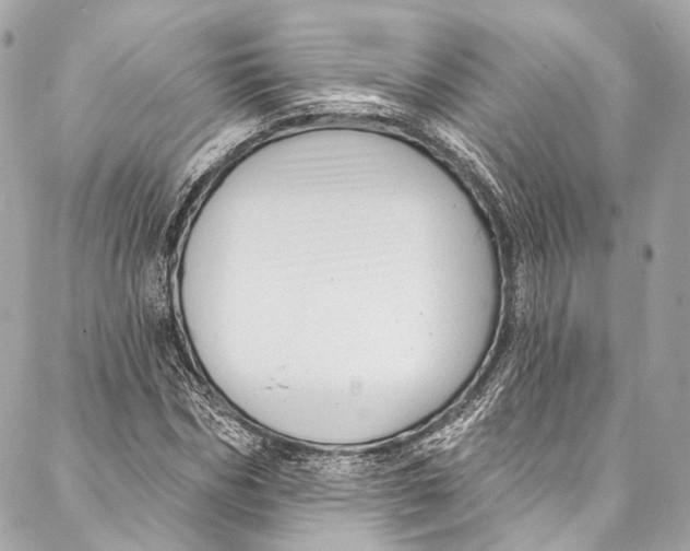 X0000086950970200705071439