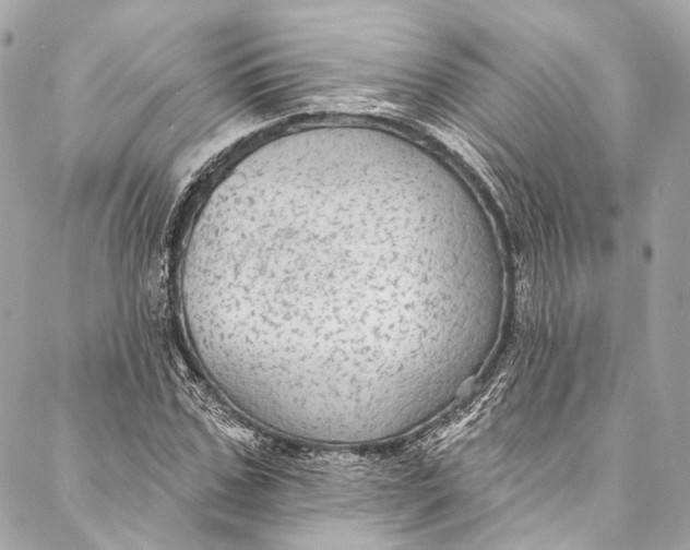 X0000086950971200705071439