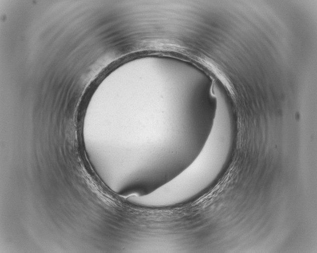 X0000086950972200705071439