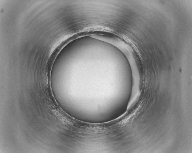 X0000086950973200705071439