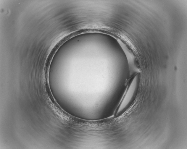 X0000086950976200705071439