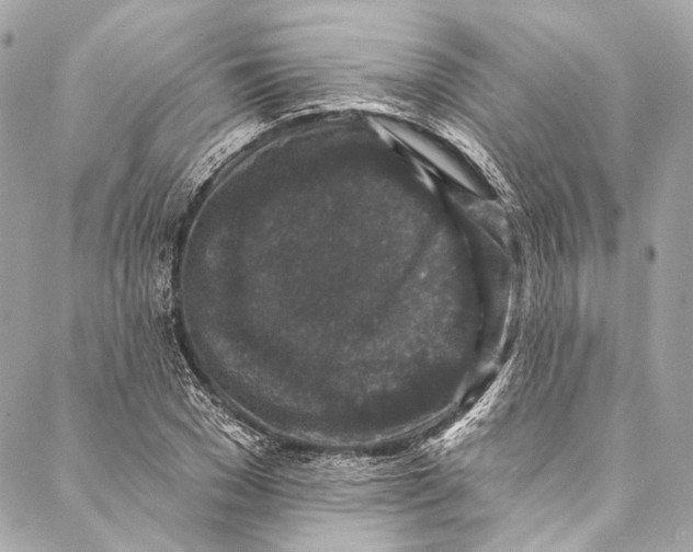 X0000086950977200705071439