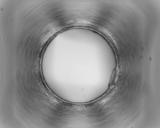 X0000086950978200705071439