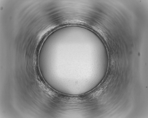 X0000086950979200705071439