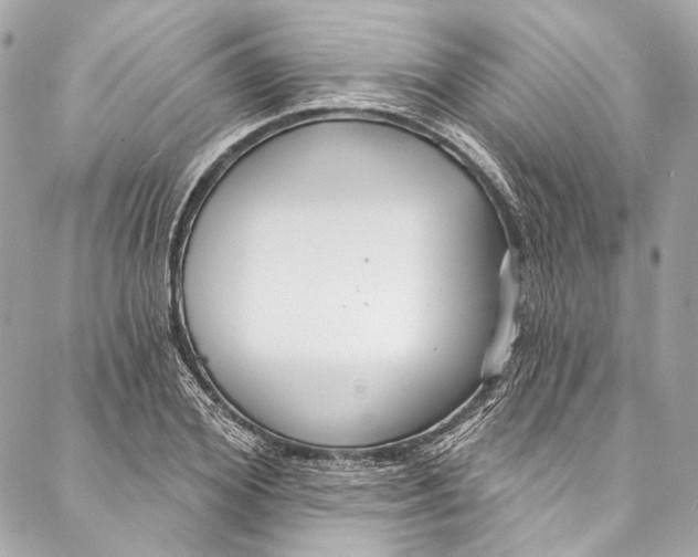 X0000086950980200705071439