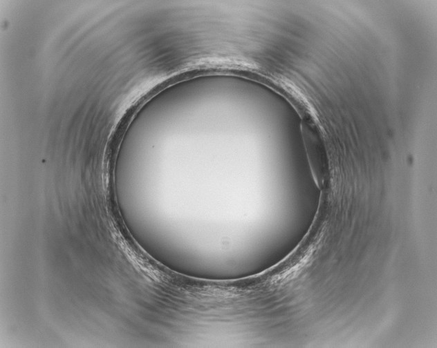 X0000086950981200705071439