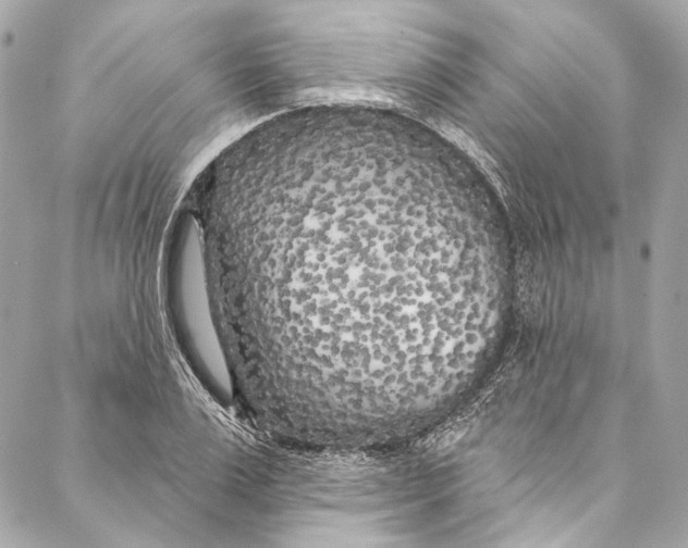 X0000086950983200705071439