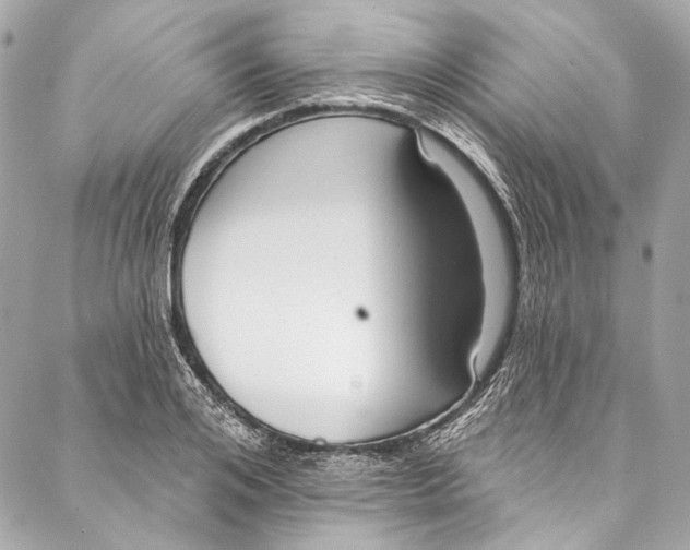 X0000086950984200705071439