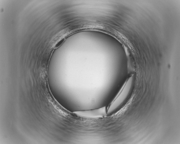 X0000086950985200705071439