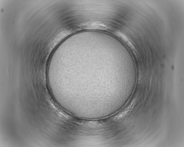 X0000086950986200705071439