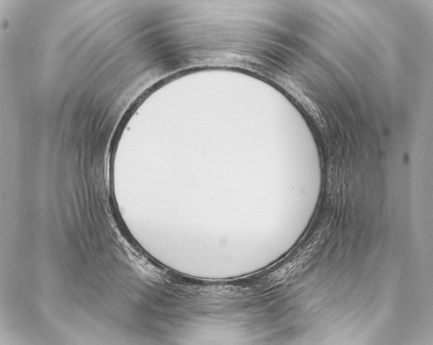 X0000086950988200705071439