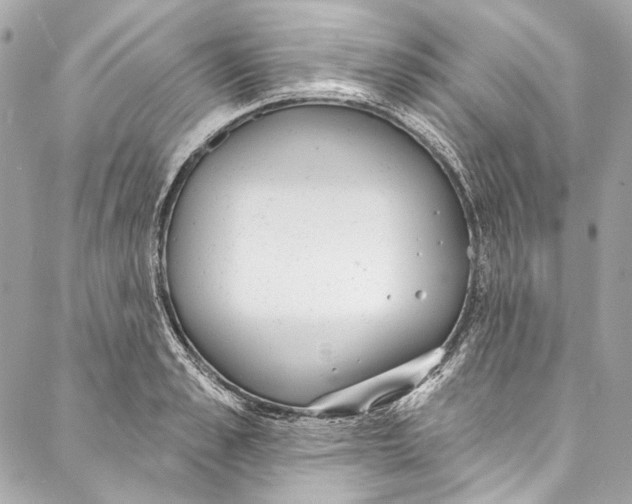 X0000086950989200705071439