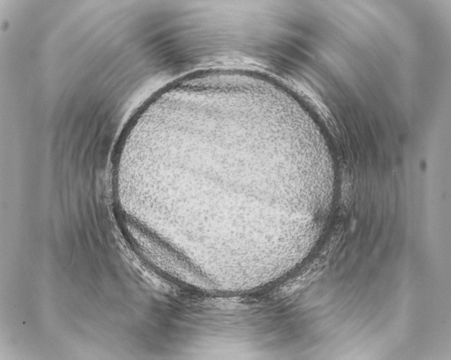 X0000086950990200705071439