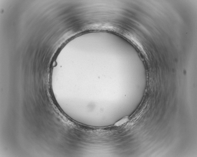 X0000086950992200705071438