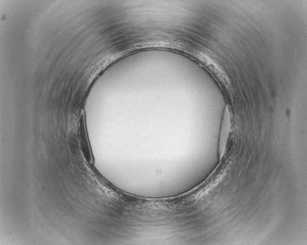 X0000086950993200705071438