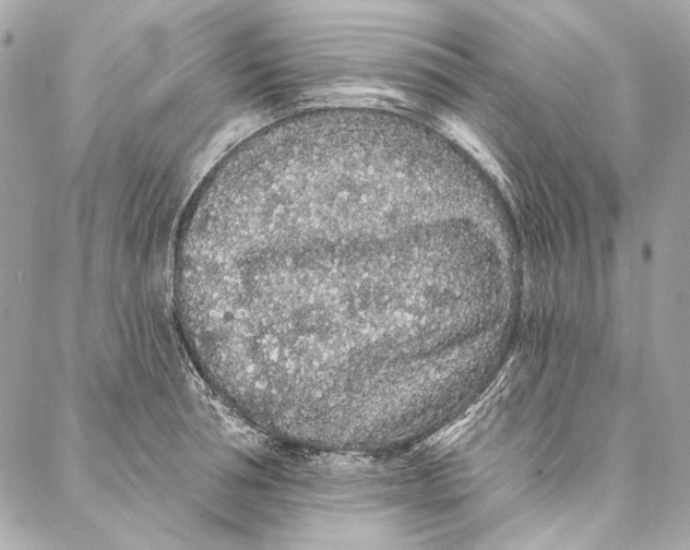 X0000086950994200705071438