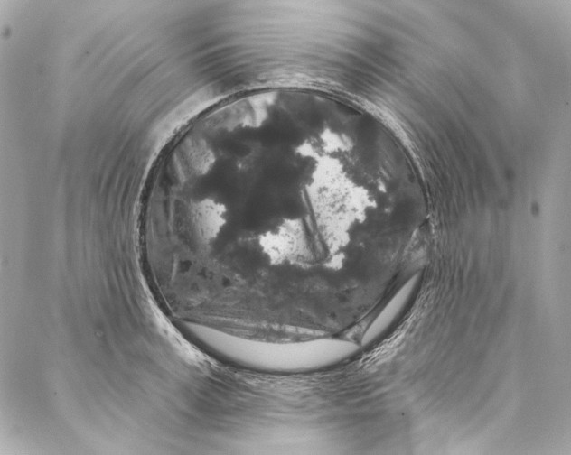 X0000086950995200705071438