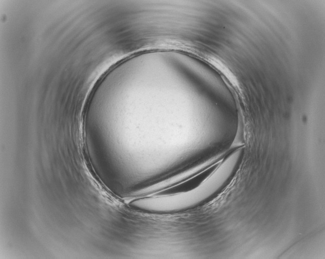 X0000086950996200705071438