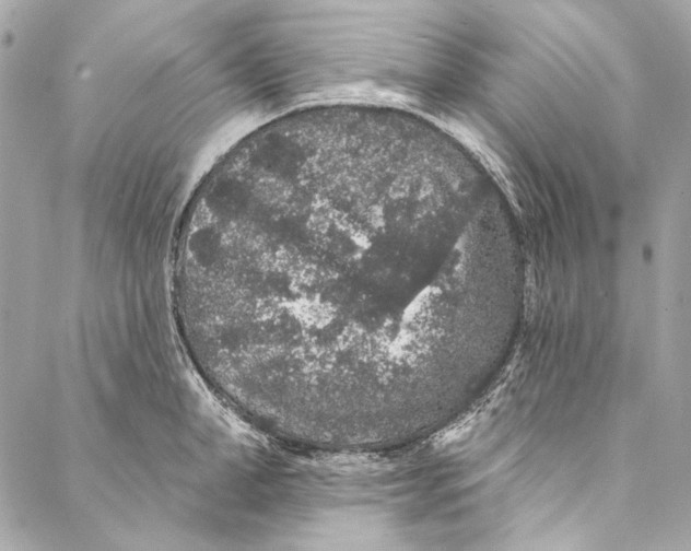 X0000086950998200705071438