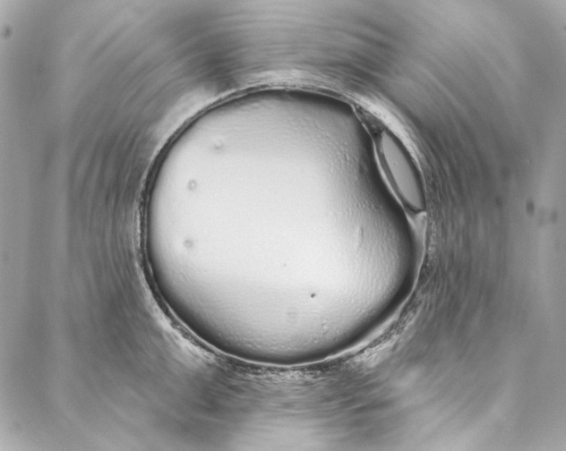 X0000086950999200705071438