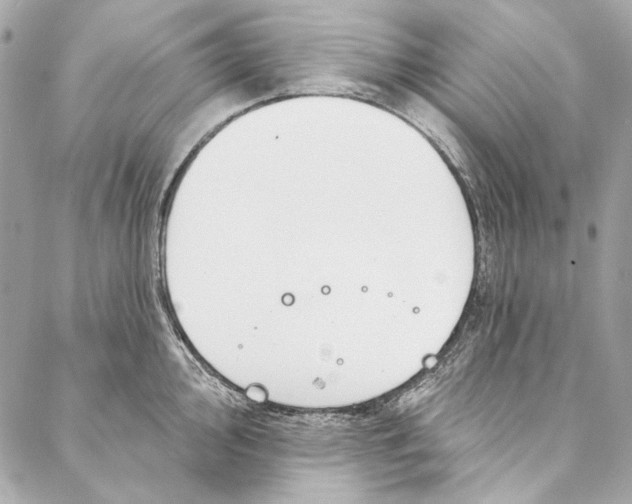 X0000086951000200705071438