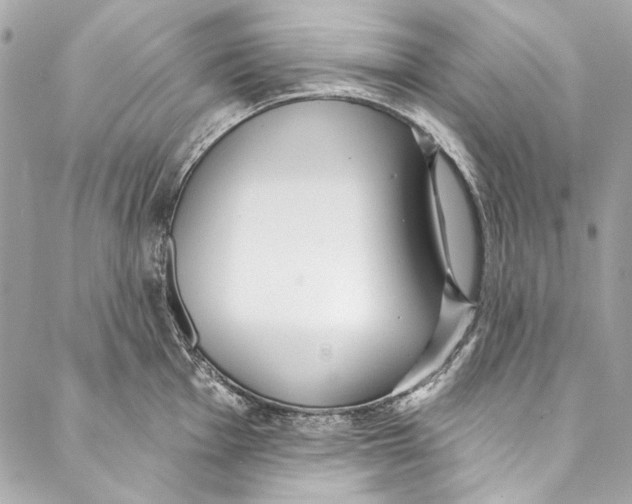 X0000086951001200705071438