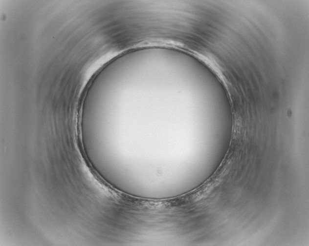 X0000086951003200705071438