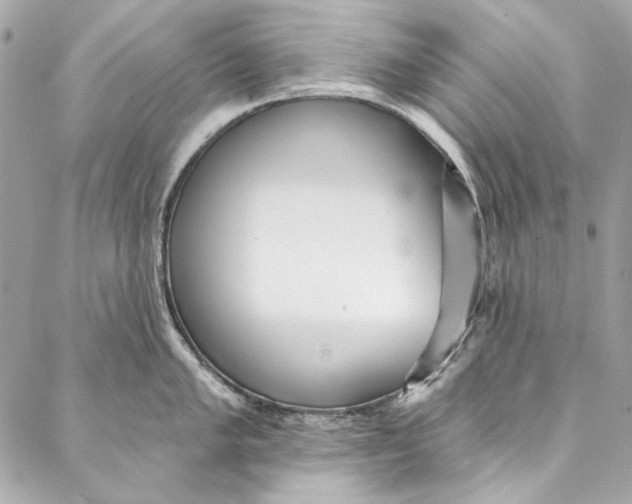 X0000086951005200705071438