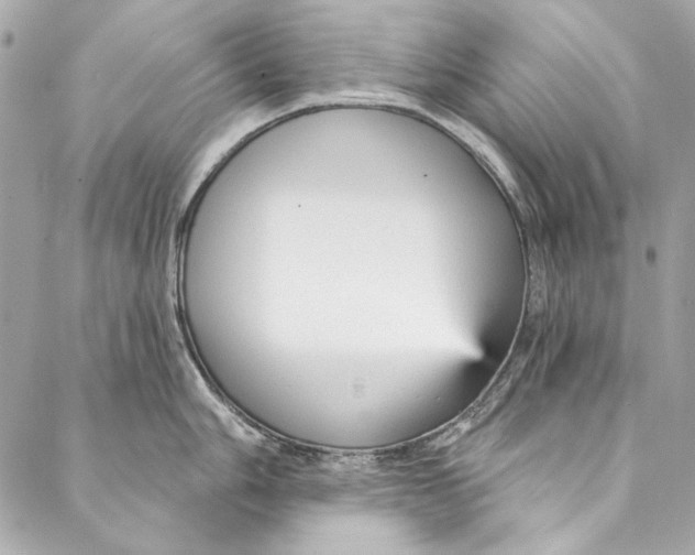 X0000086951006200705071438