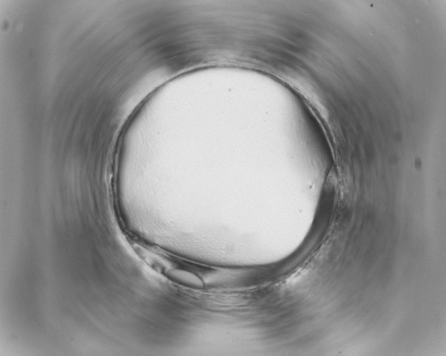 X0000086951007200705071438