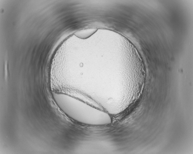 X0000086951008200705071438