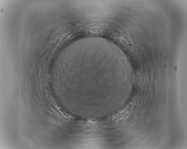 X0000086951009200705071437