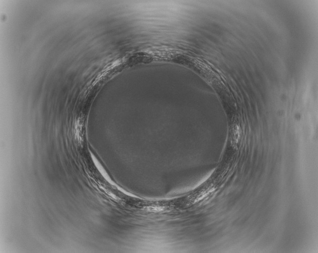 X0000086951010200705071437